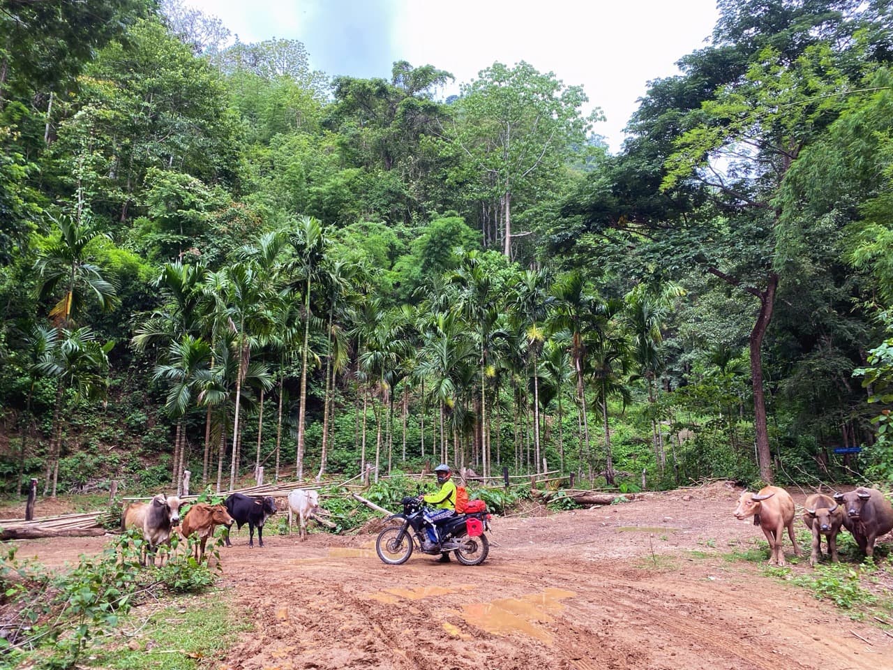 Tha Ta Fang and Mae Sam Laep