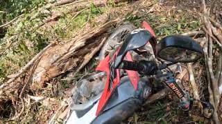 Lampang Fallen Trees Loop — video 2