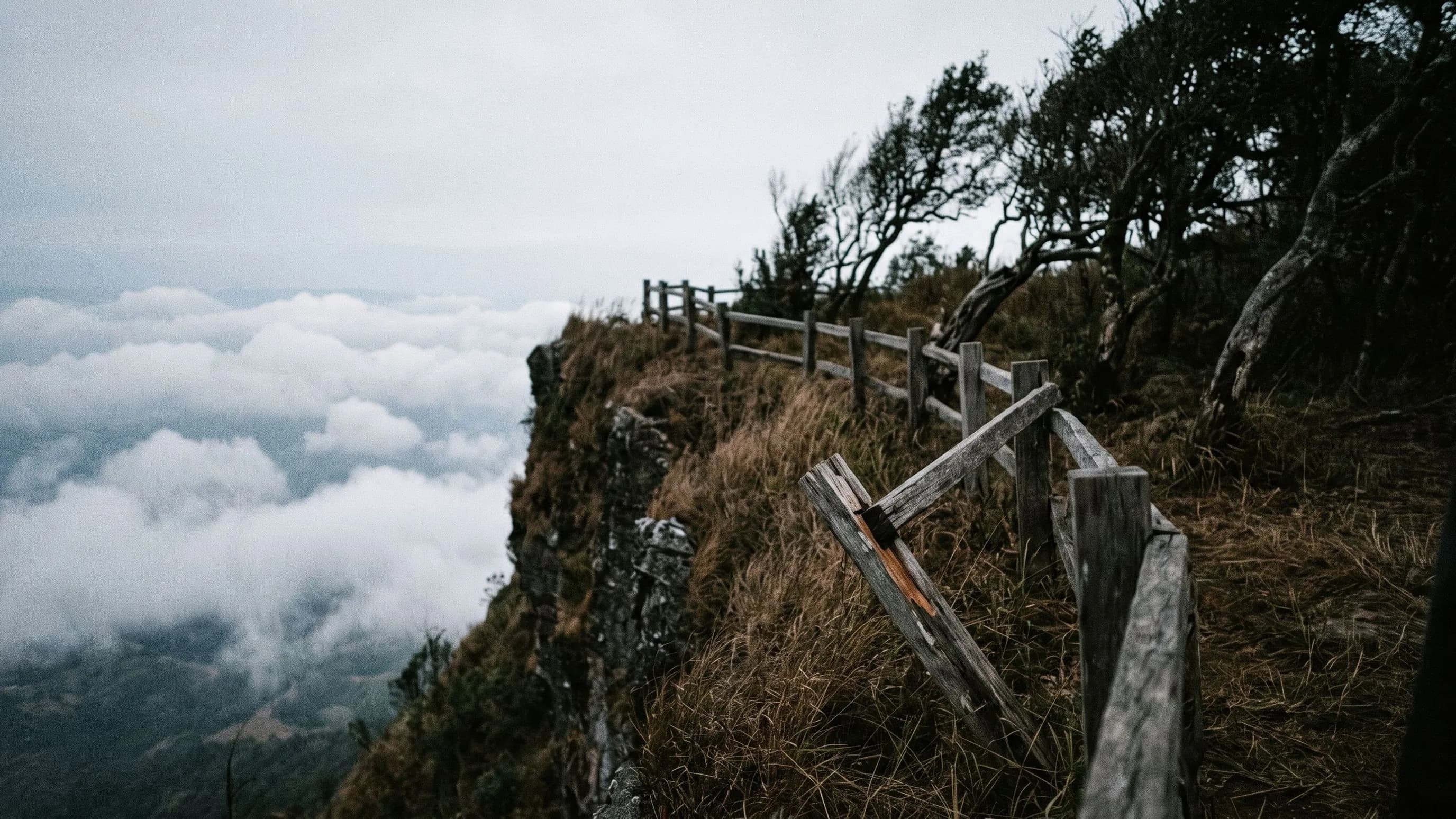 Pha Lak Muen Forest Park