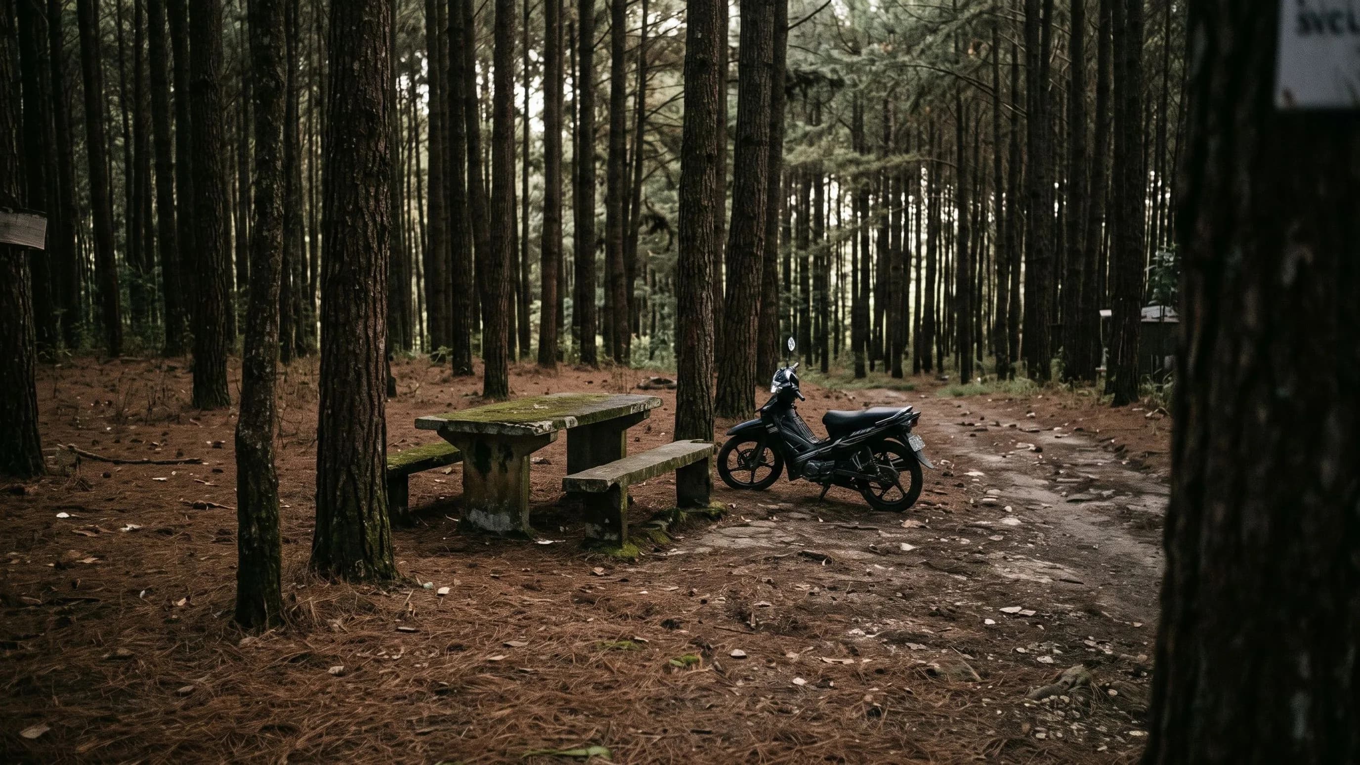 Samoeng Forest Park