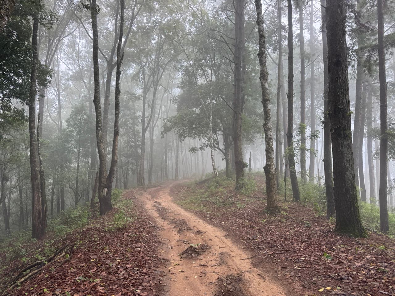 Monsoon season transforms Northern Thailand into lush green terrain — technically demanding but rewarding for experienced riders