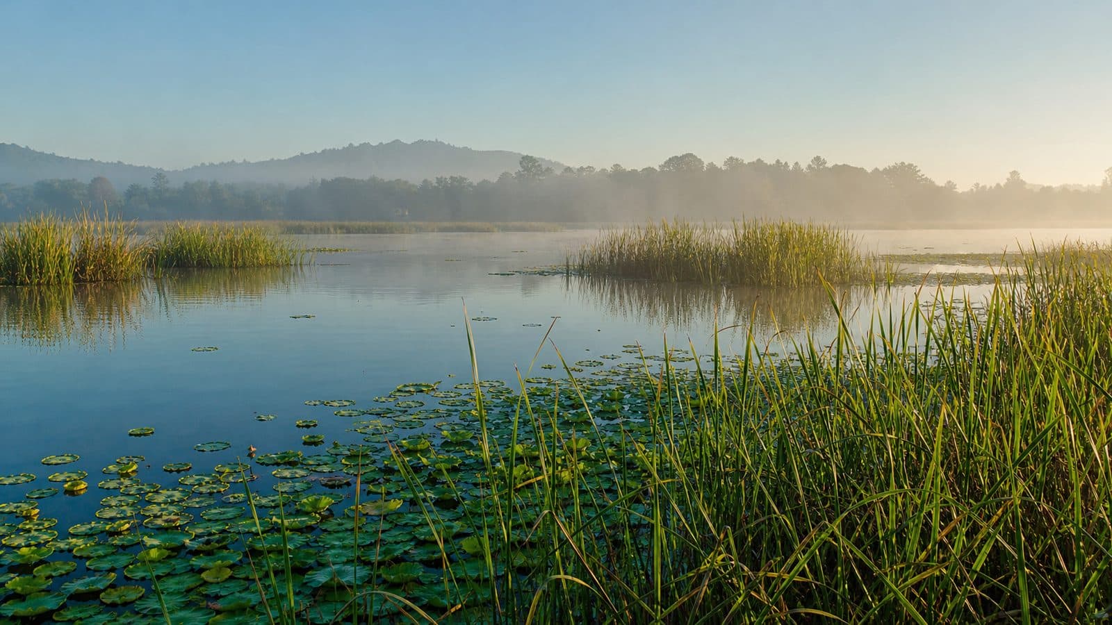 Bueng Kreng Kawi & Nong Nam Sap — park photo