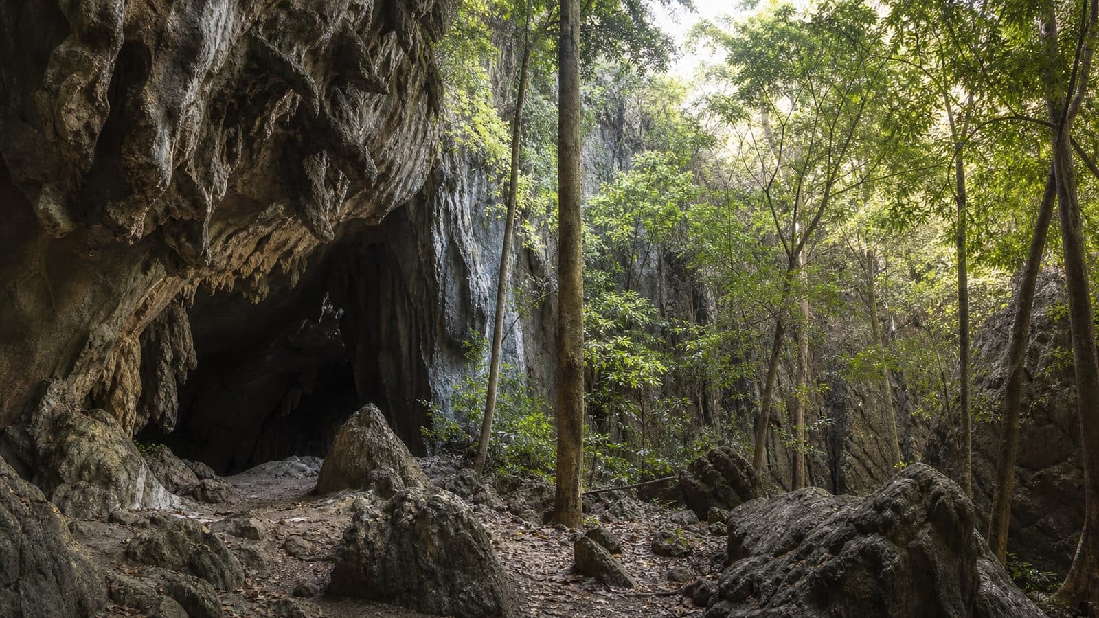 Chao Ram Cave Forest Park — park photo