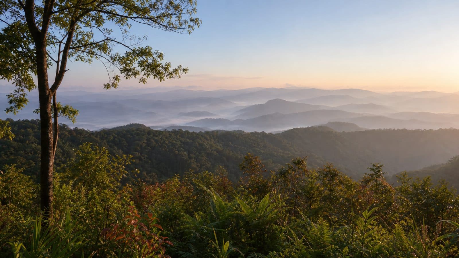 Doi Kat Phi Forest Park — park photo