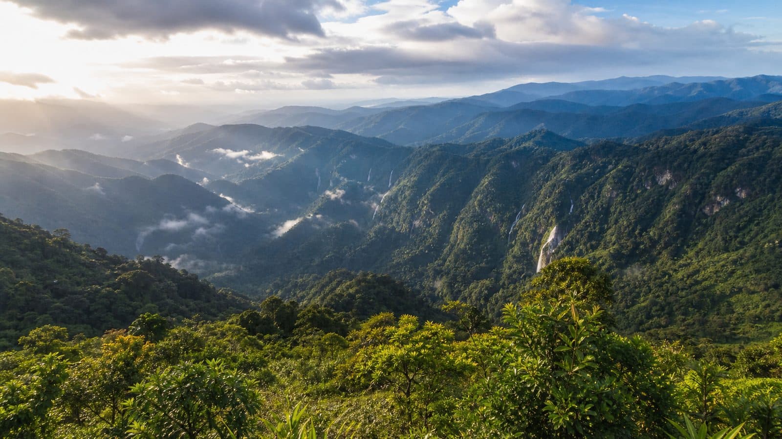 Doi Luang National Park — park photo