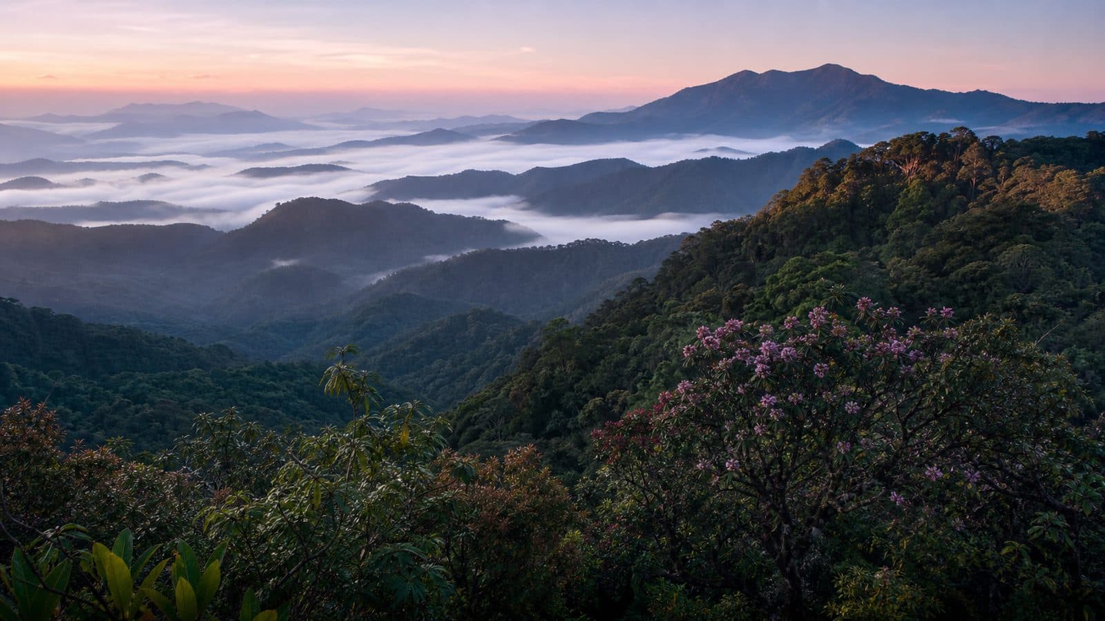 Doi Phu Kha National Park — park photo