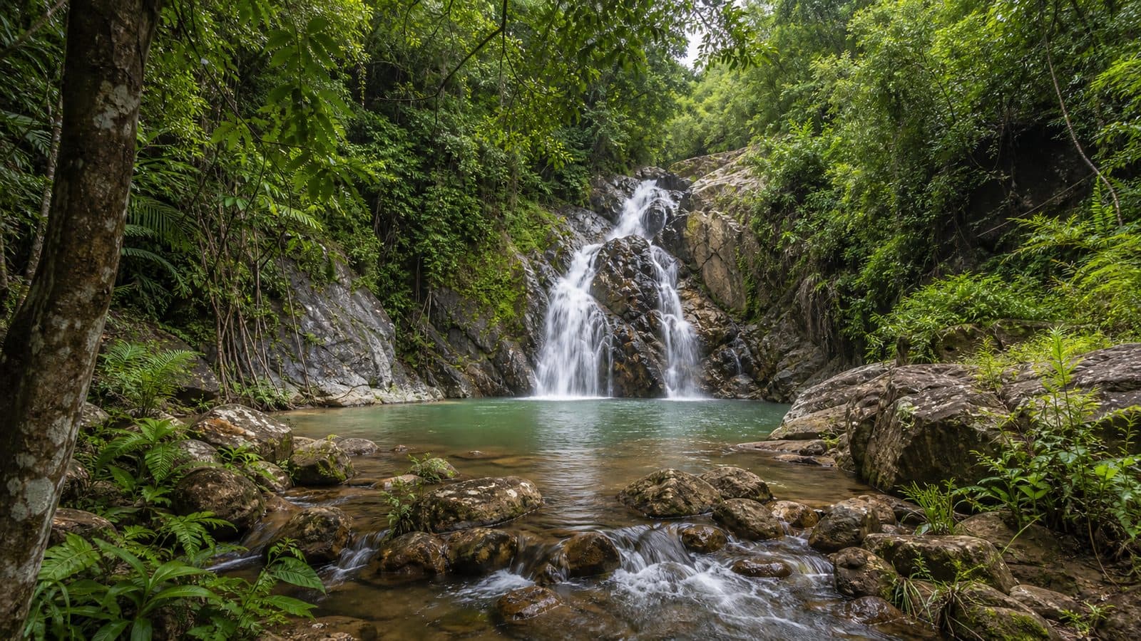 Doi Phu Nang National Park — park photo