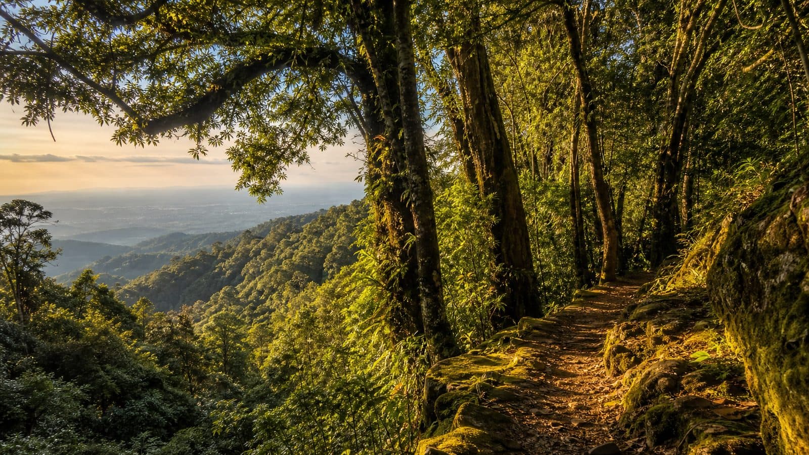 Doi Suthep–Pui National Park — park photo