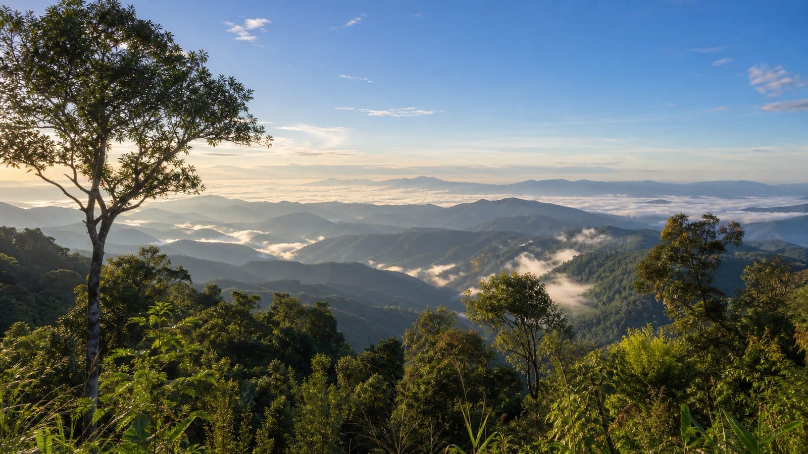 Doi Wiang Kaeo Forest Park — park photo