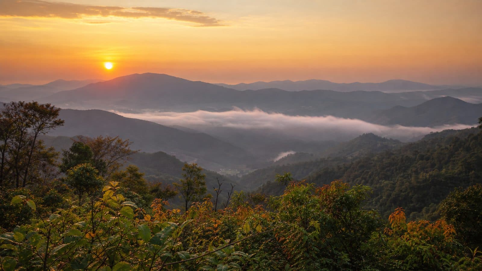 Doi Wiang La Forest Park — park photo