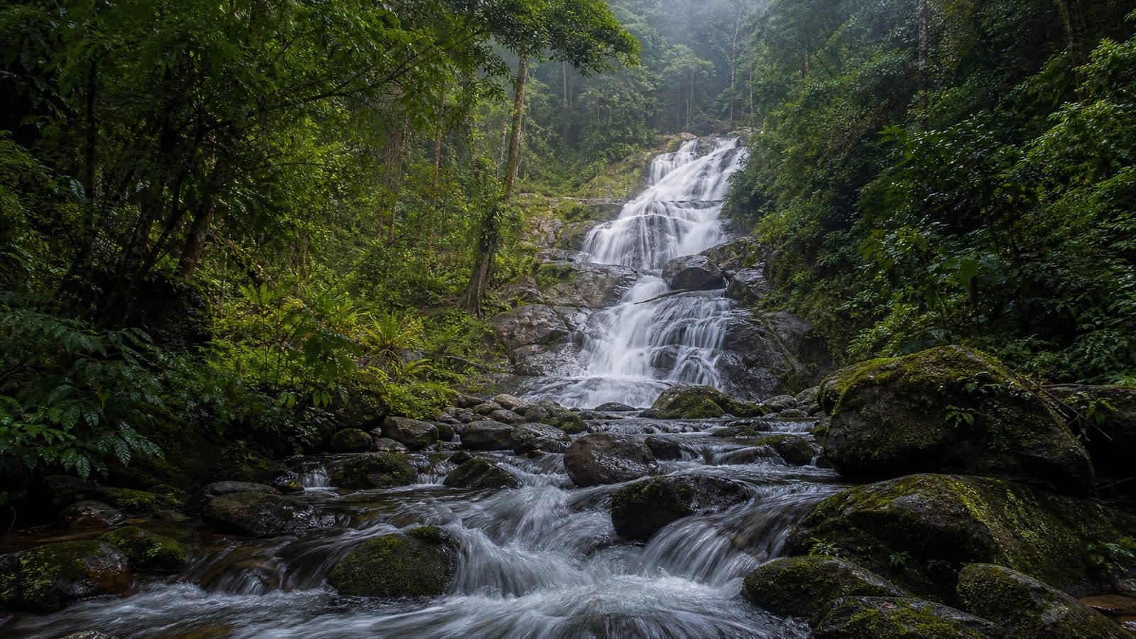 Hua Mae Kham Forest Park — park photo