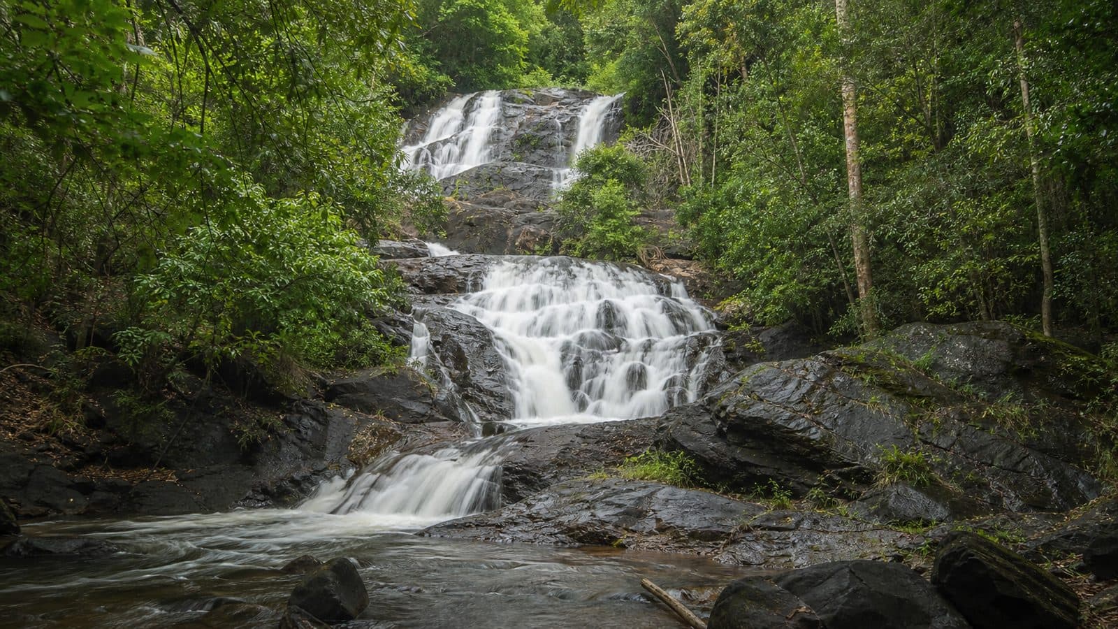 Huai Mae Saed Forest Park — park photo