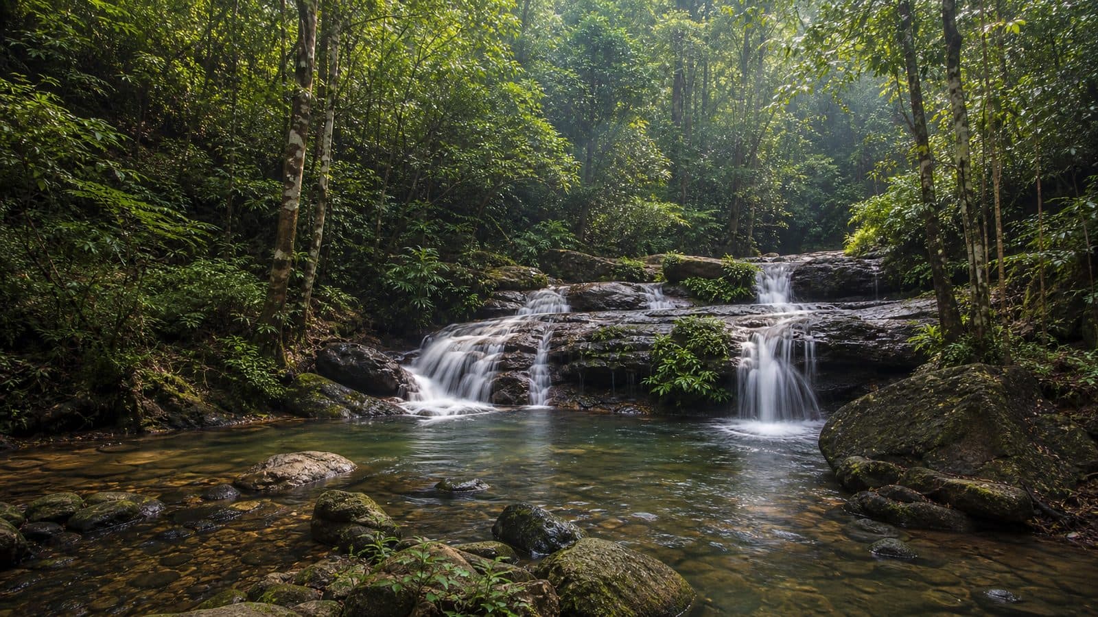 Huai Nam Chang Forest Park — park photo