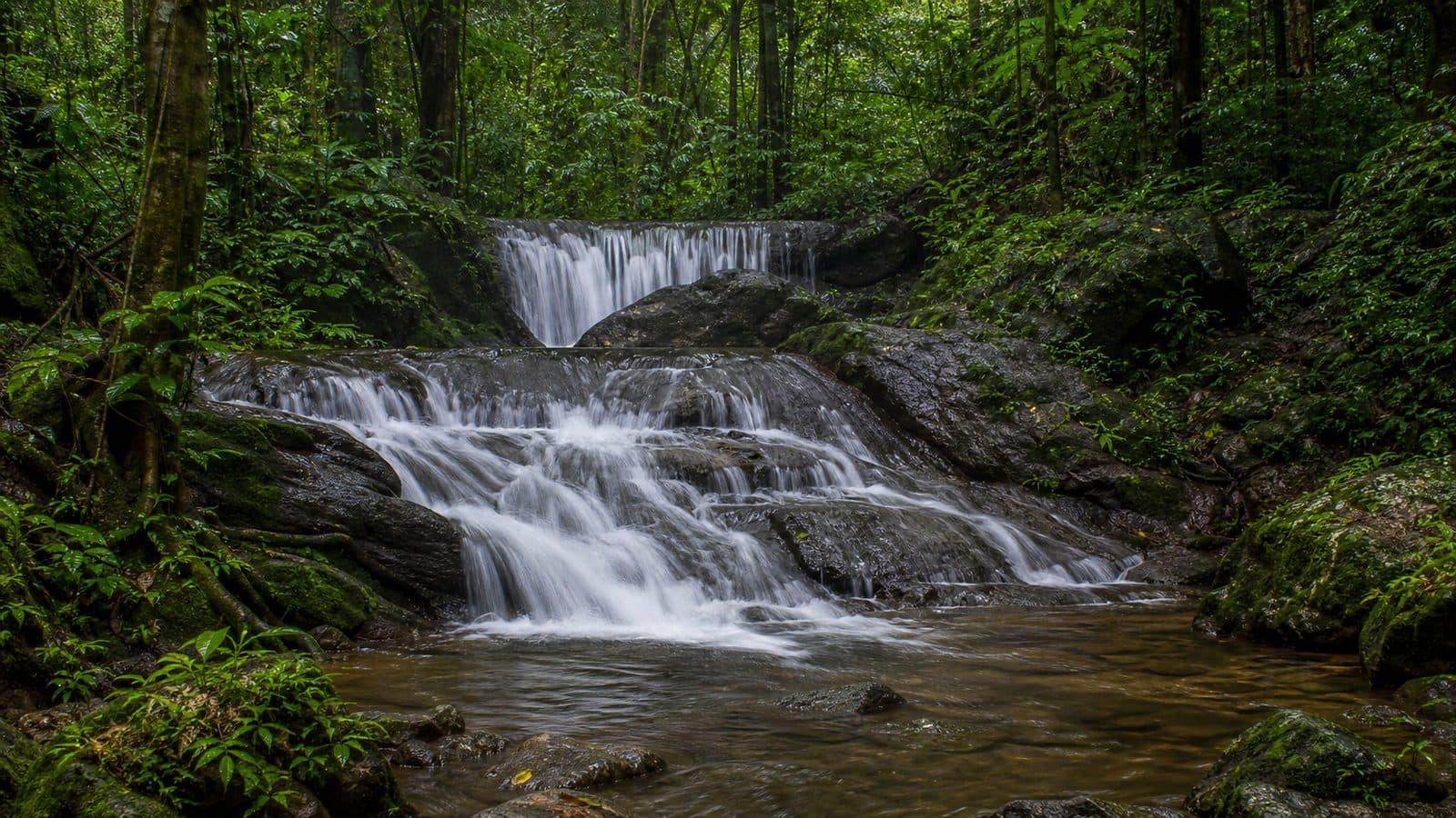 Huai Nam Un Forest Park — park photo