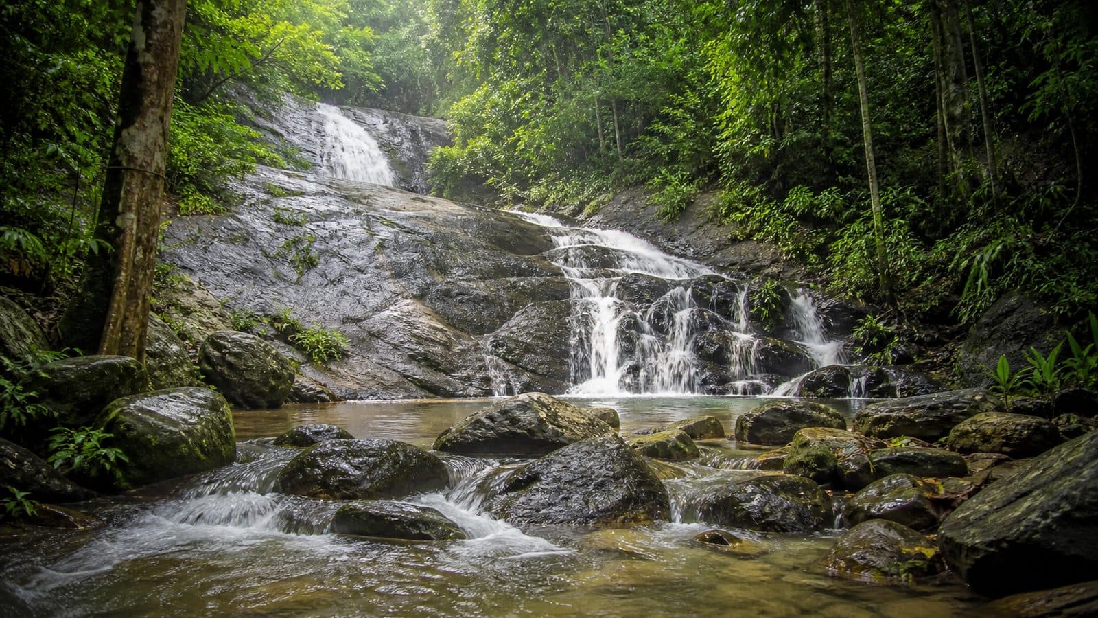 Huai Tad Thong Forest Park — park photo