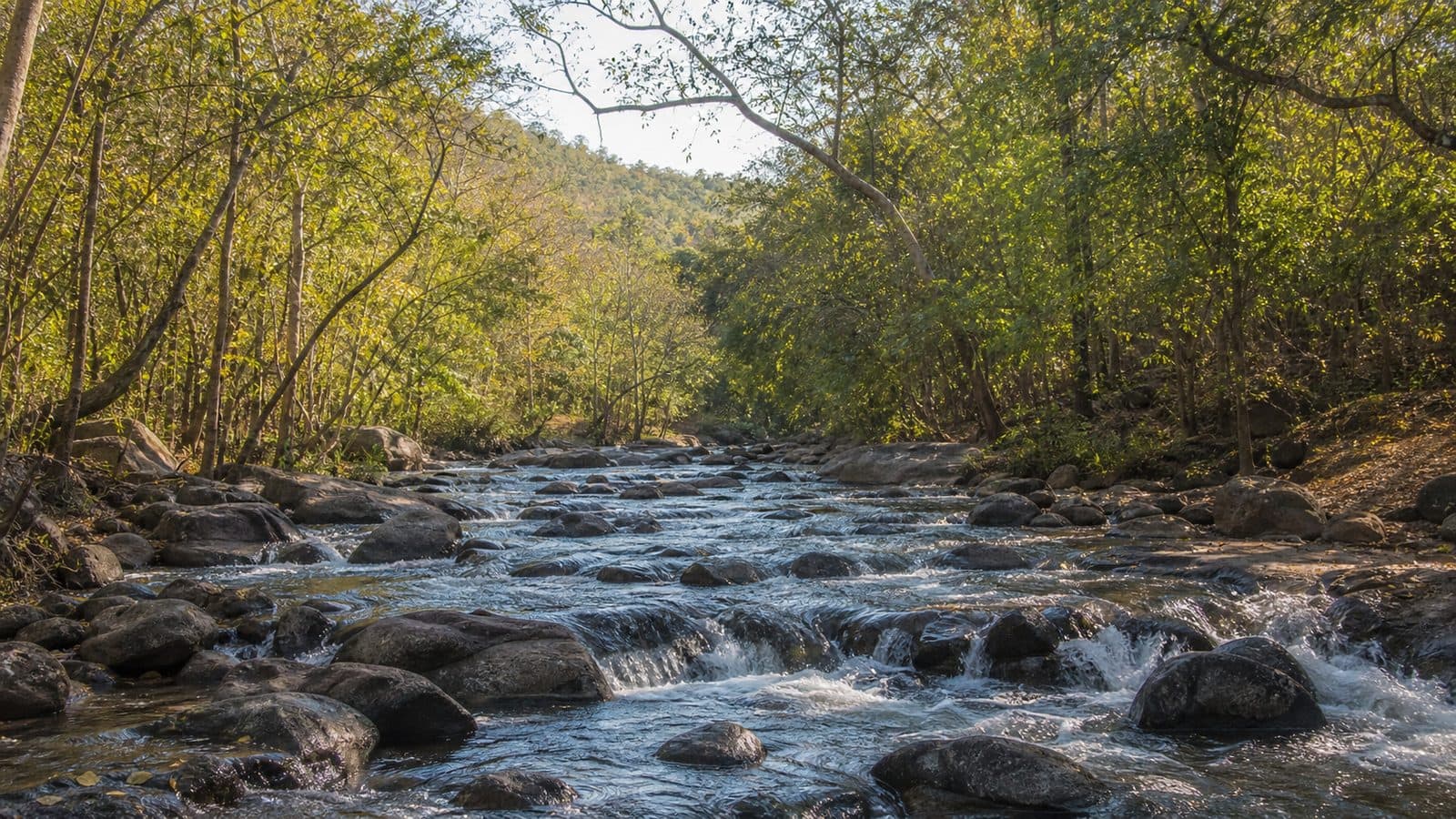 Kaeng Huai Tak Forest Park — park photo