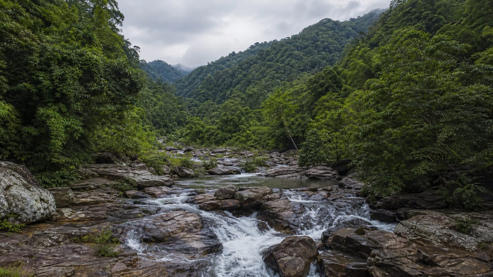 Khlong Tron National Park — park photo