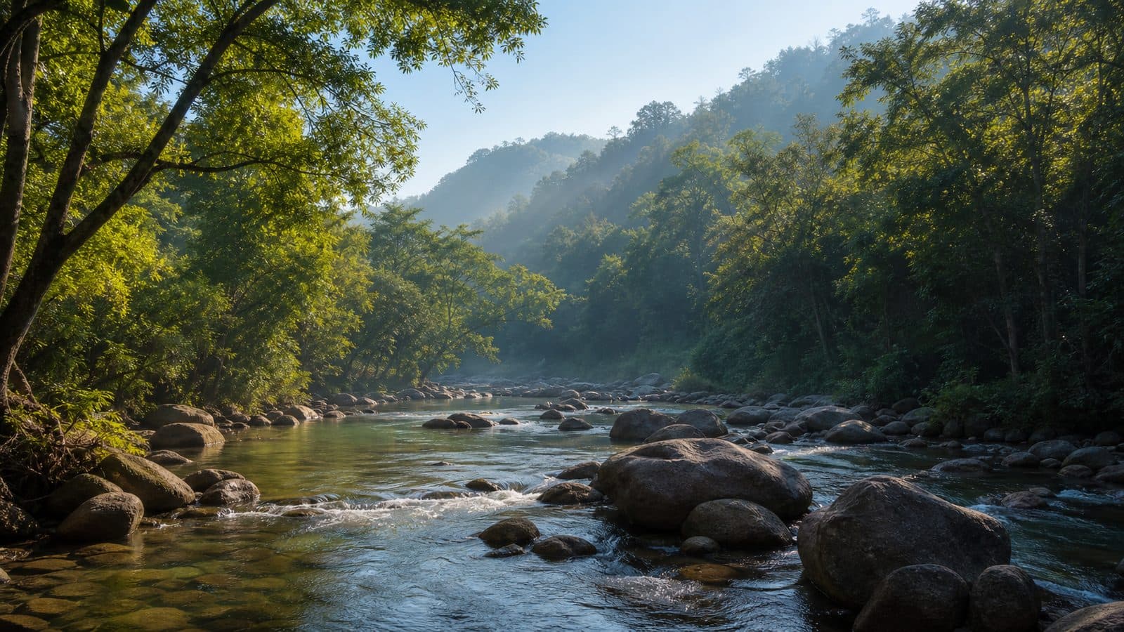 Khlong Wang Chao National Park — park photo