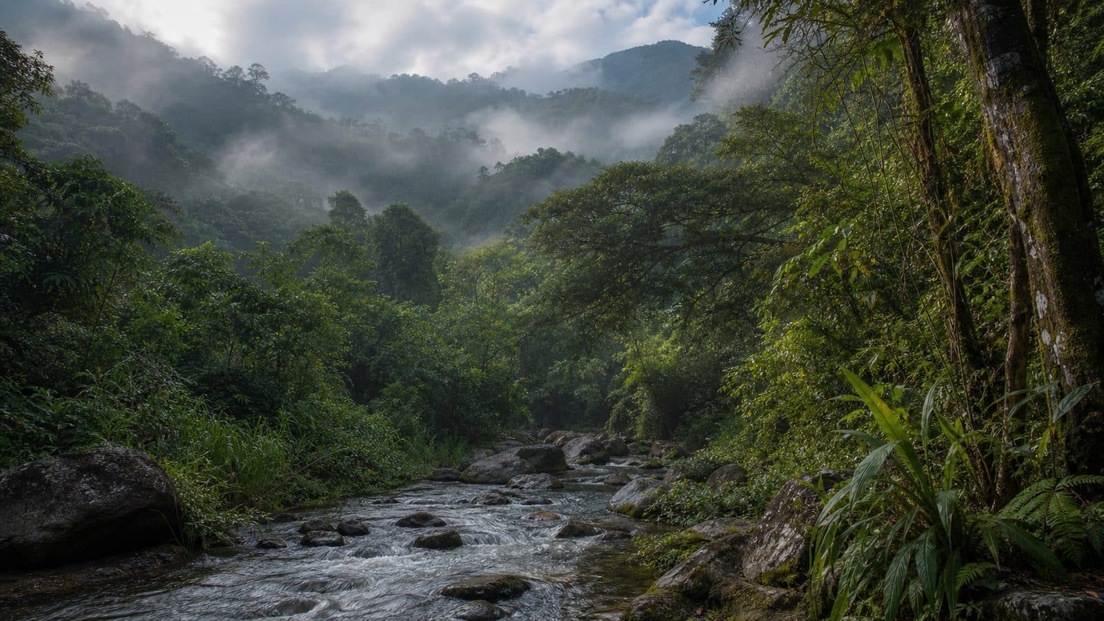 Khong Watershed Forest Reserve — park photo