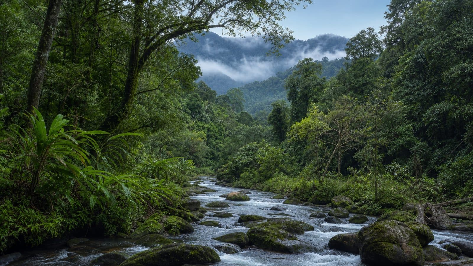 Khun Chae National Park — park photo