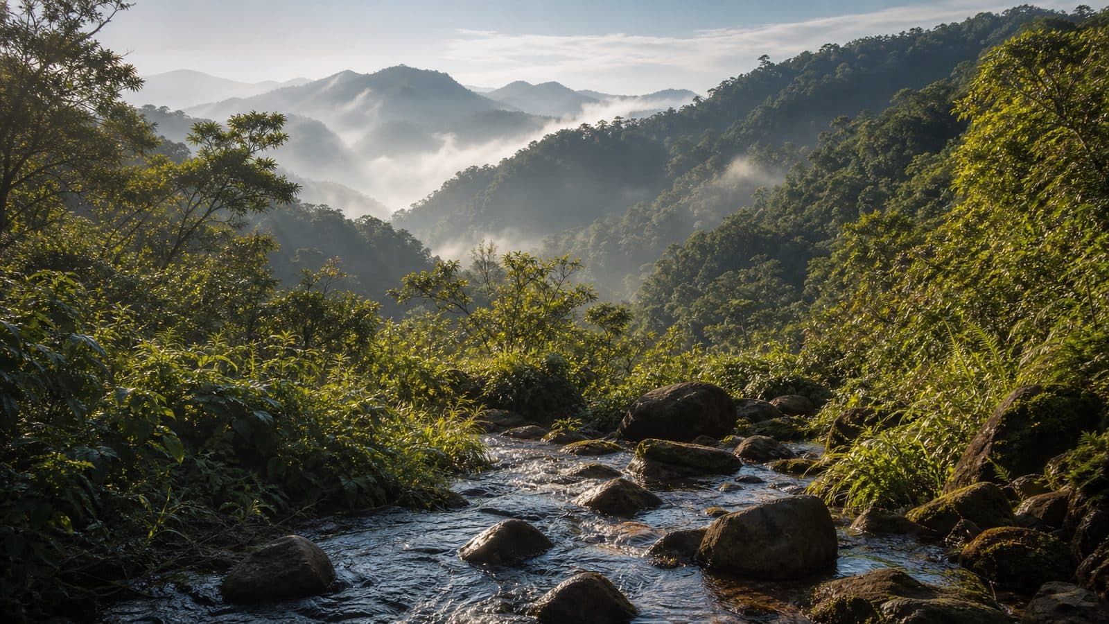 Mae Lao–Mae Sae Forest Park — park photo