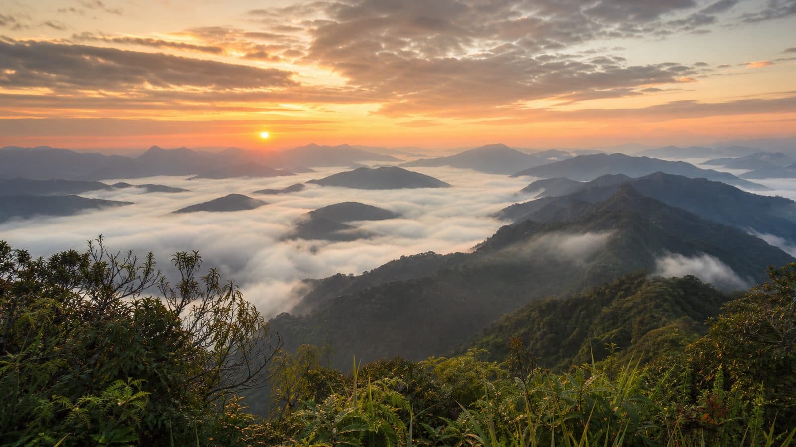 Mae Moei National Park — park photo