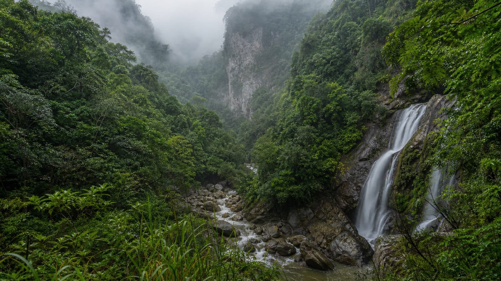 Mae Sawan Noi Forest Park — park photo