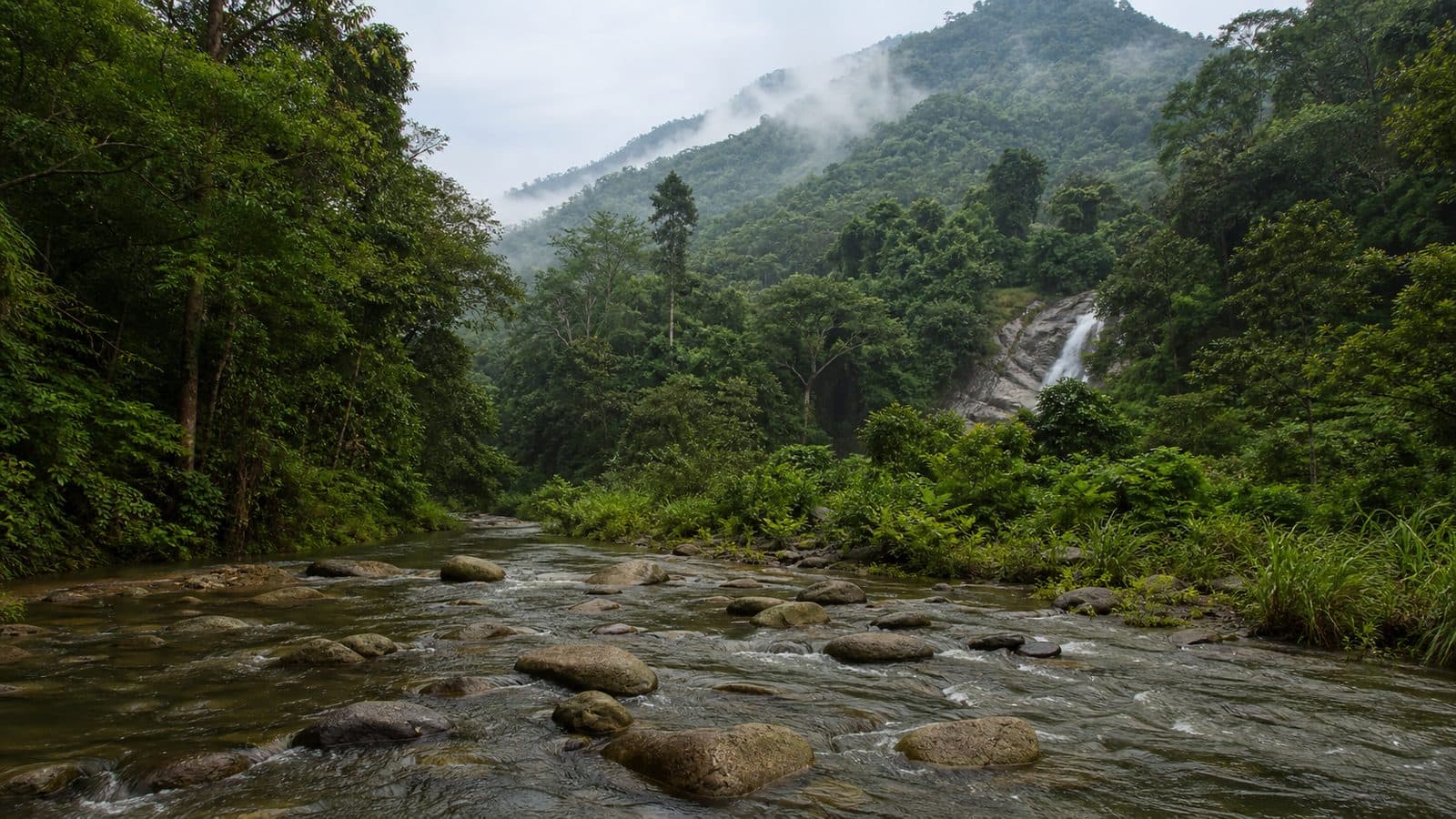 Mae Wang National Park — park photo