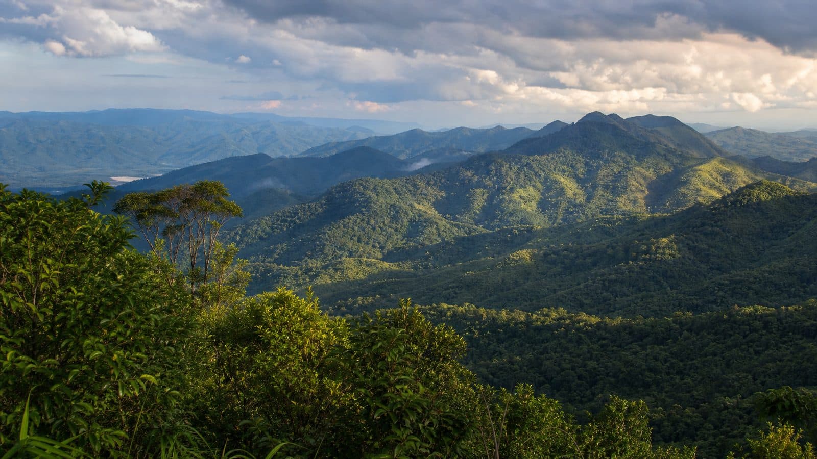 Mae Wong National Park — park photo