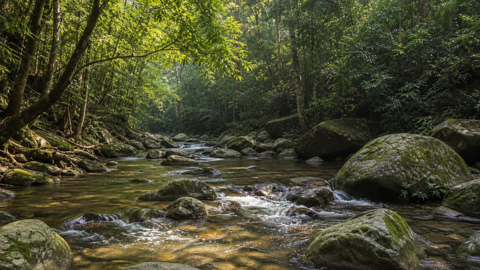 Nam Min Waterfall Forest Park — park photo