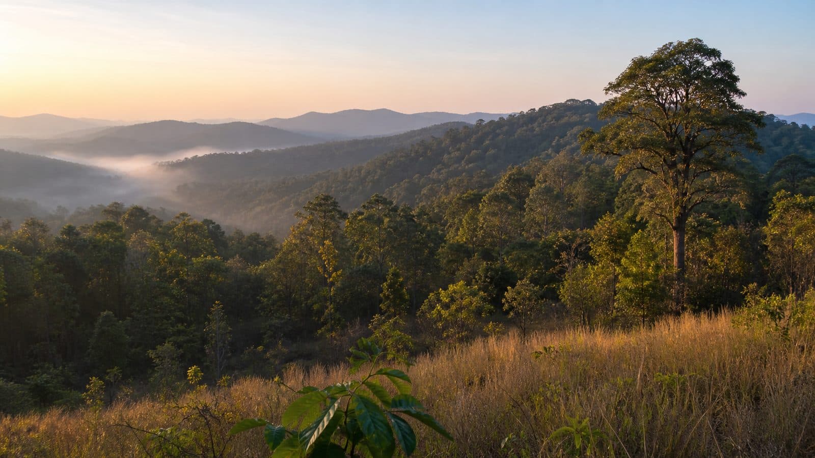 Nam Pat Wildlife Sanctuary — park photo