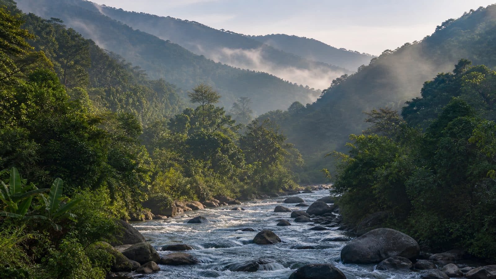 Nan River Basin Forest — park photo