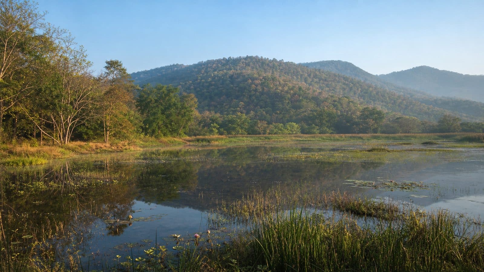 Nong Nam Khao Forest Park — park photo