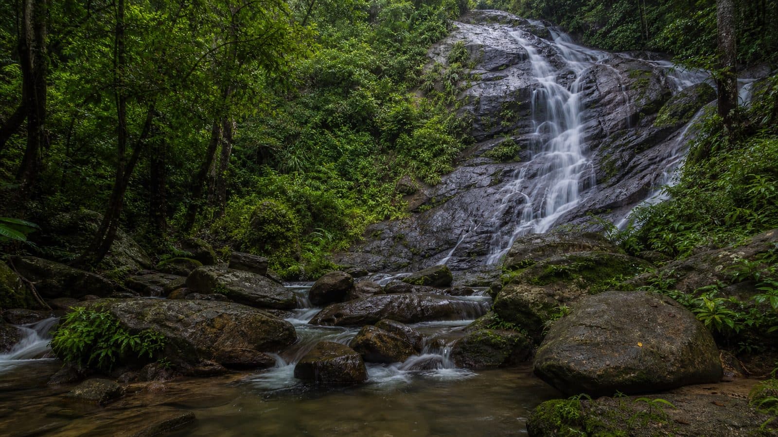 Pahlatha Waterfall Forest Park — park photo
