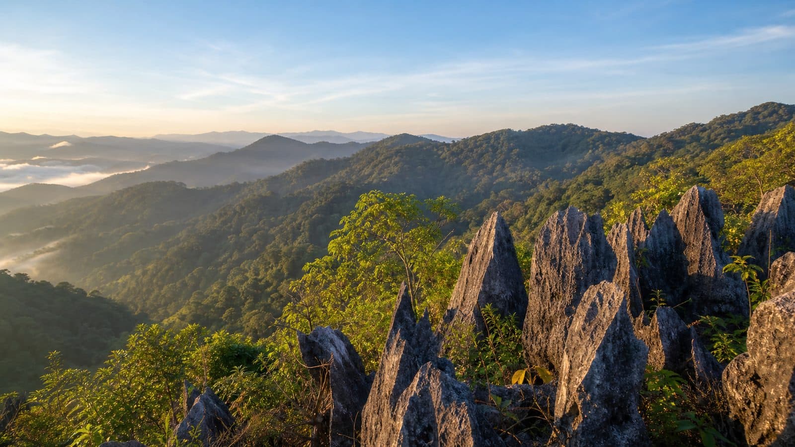 Pha Hin Tang Forest Park — park photo