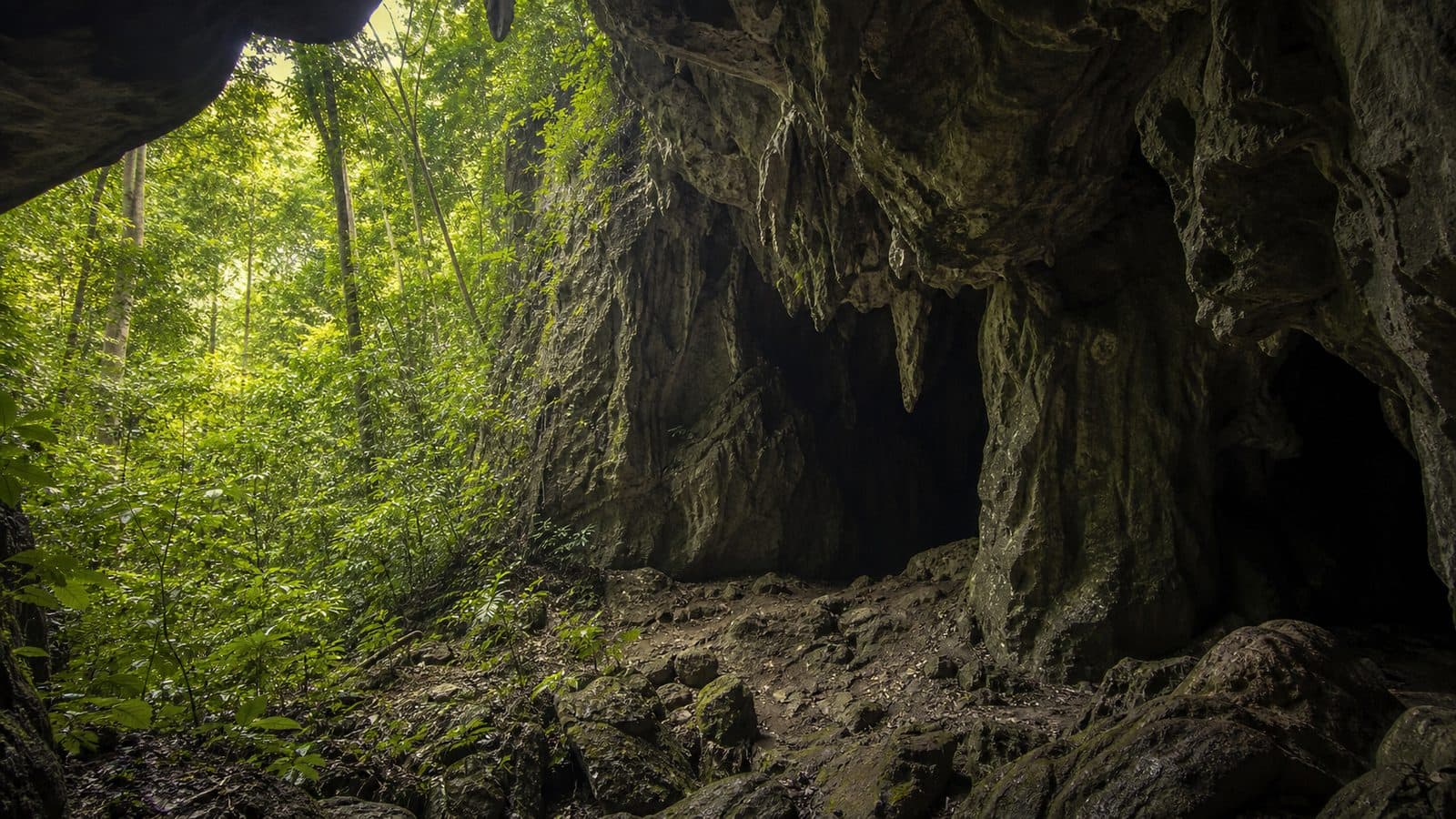 Pha Lae Cave Forest Park — park photo