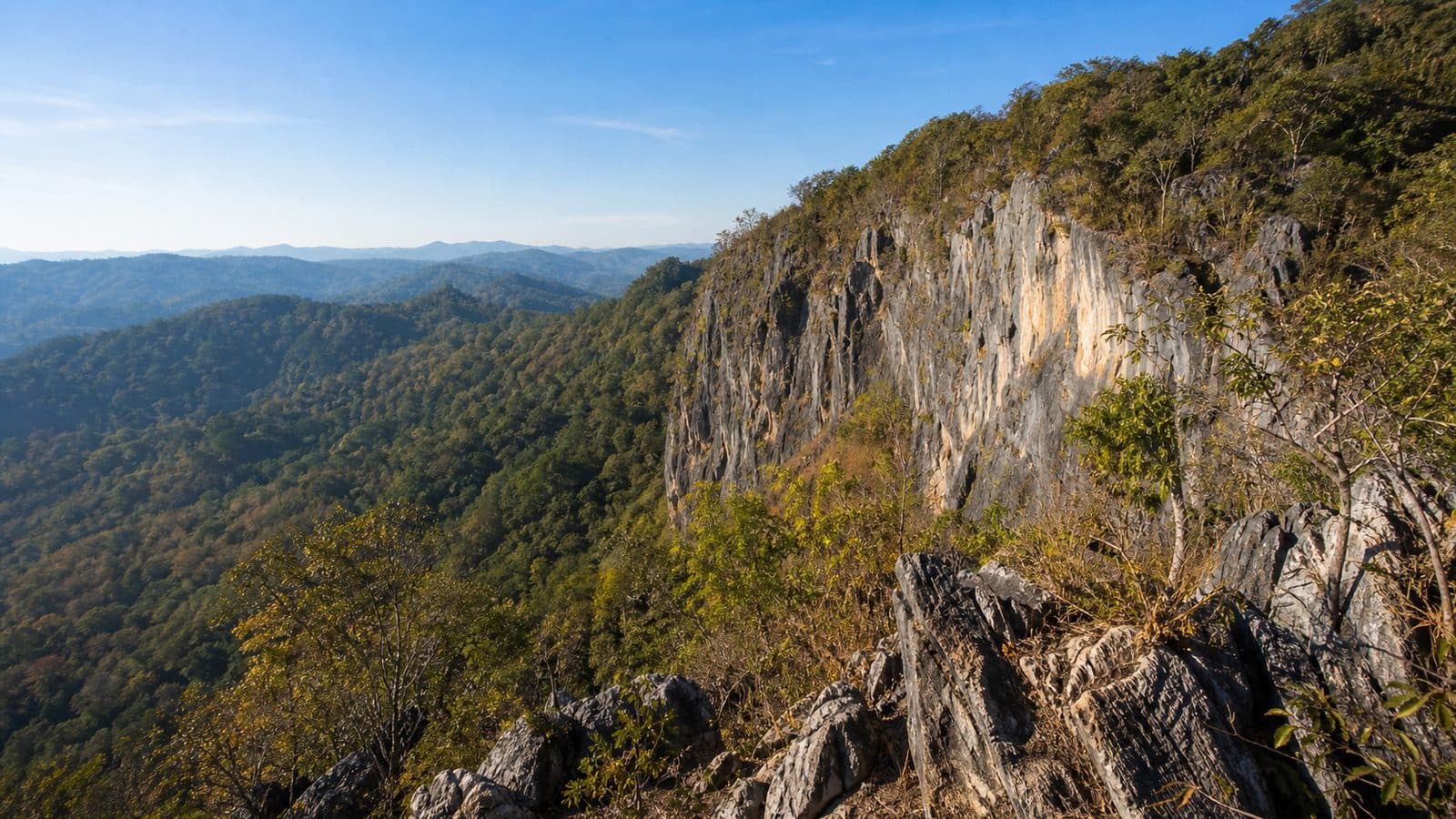 Pha Lak Muen Forest Park — park photo