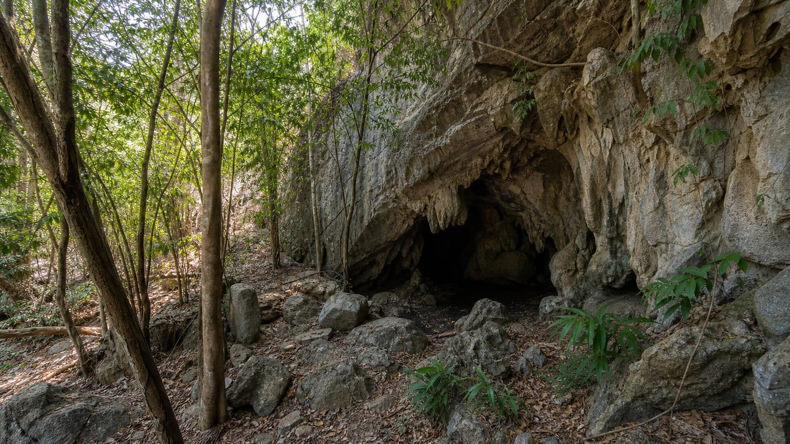 Pha Tub Cave Forest Park — park photo