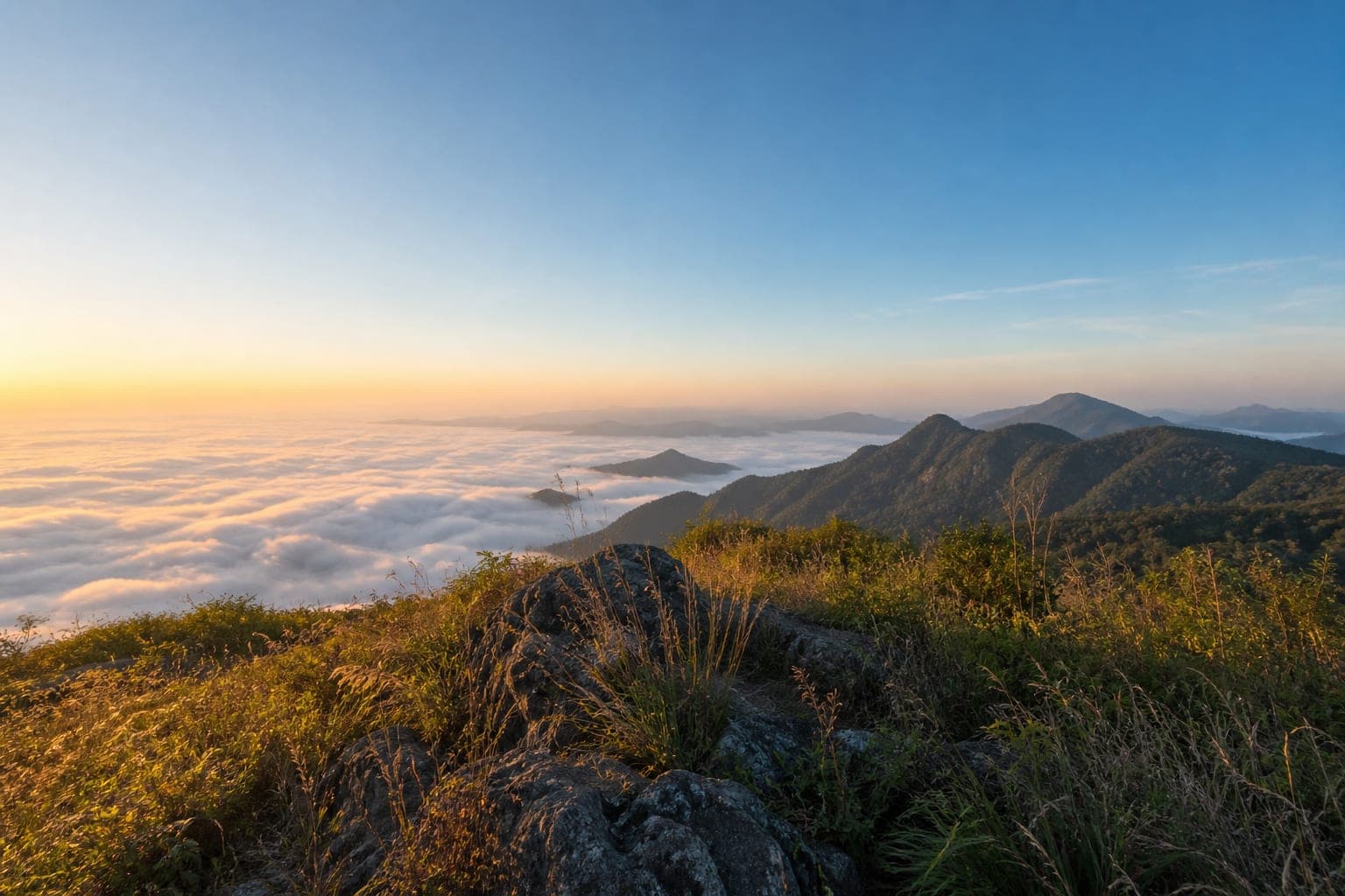Phu Chom Dao Forest Park — park photo