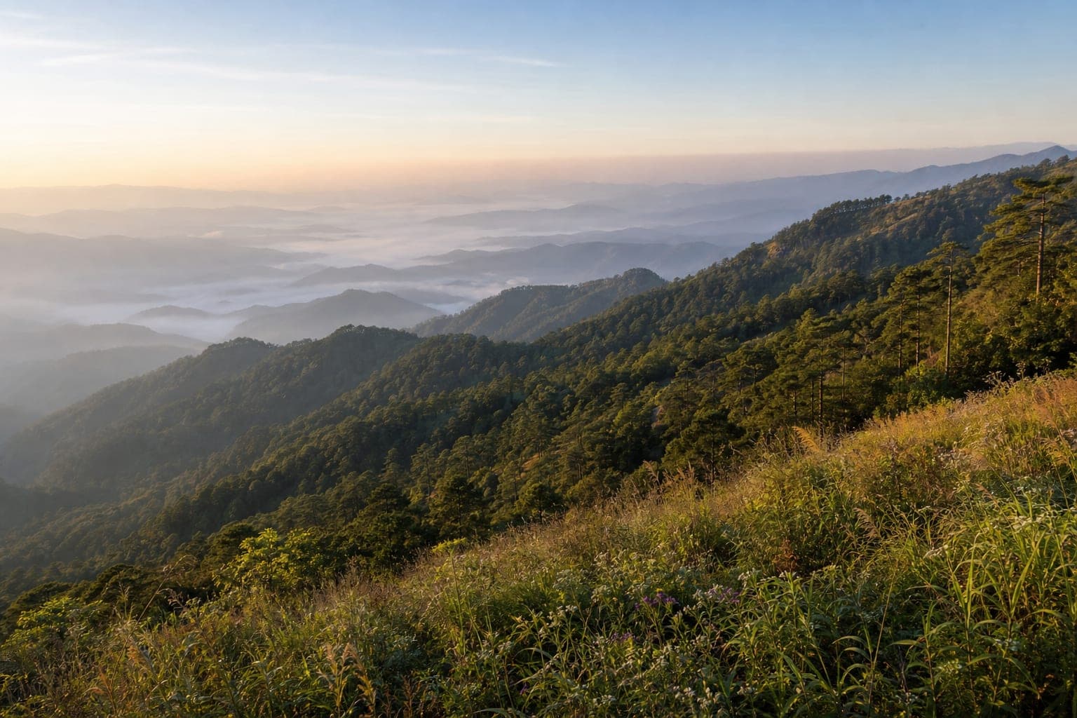 Phu Suan Sai National Park — park photo