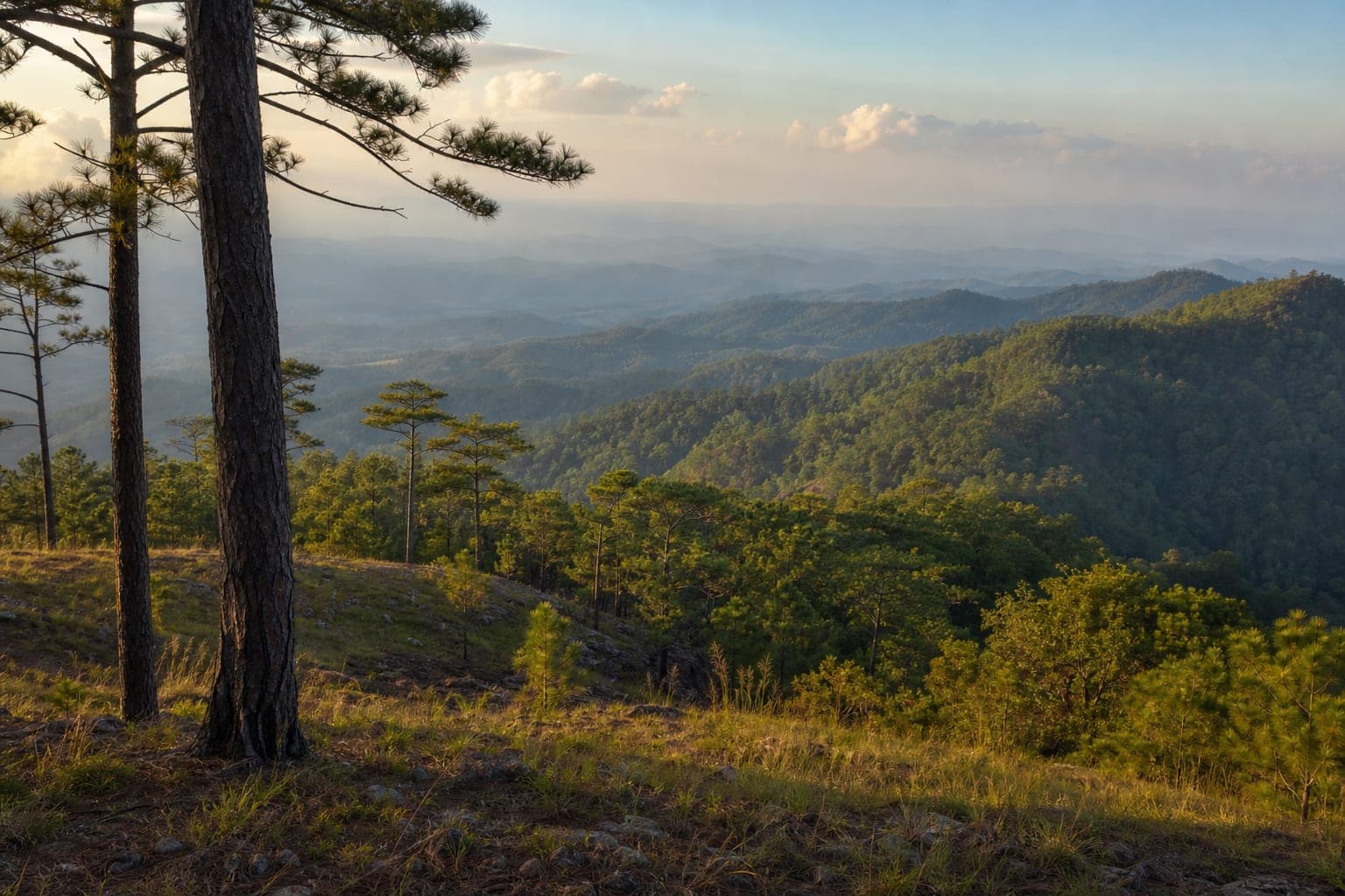 Phu Toei National Park — park photo
