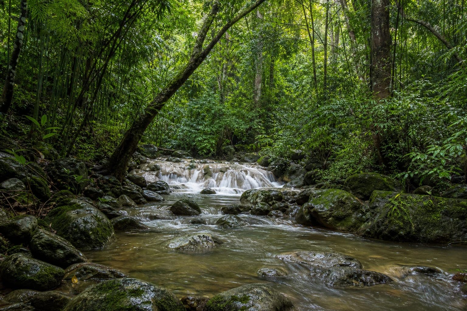 Rong Kham Luang Forest Park — park photo