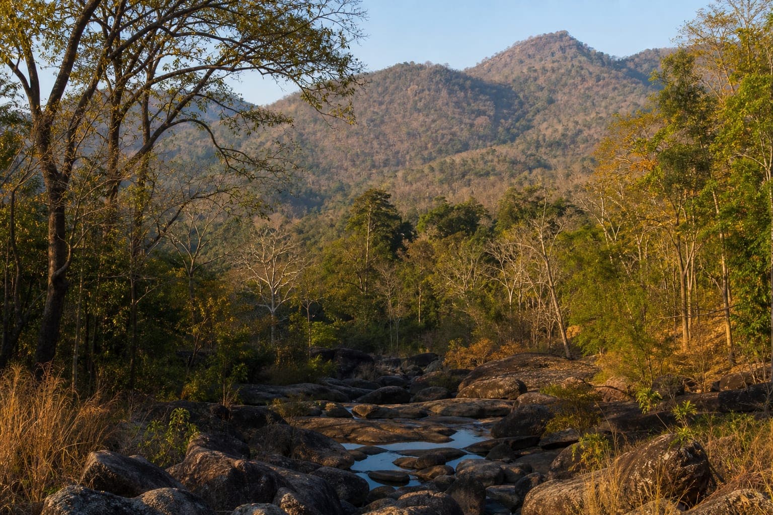 Salak Phra Wildlife Sanctuary — park photo