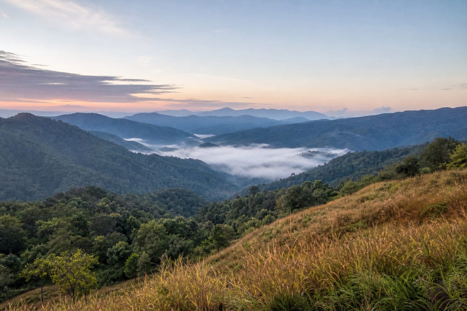 Samoeng Forest Park — park photo