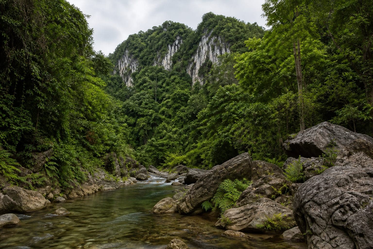 Si Chomphu Forest Park — park photo
