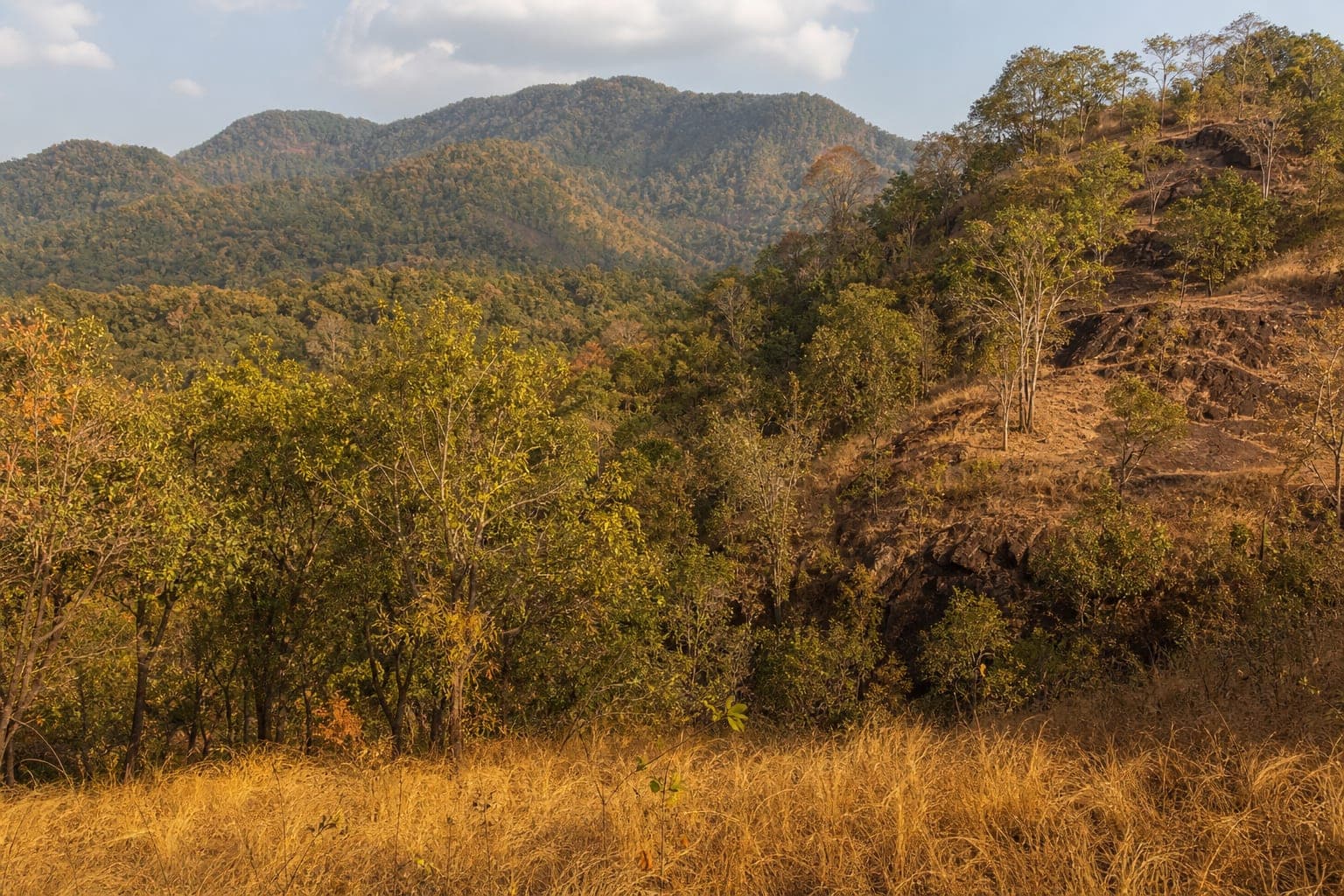 Si Satchanalai National Park — park photo