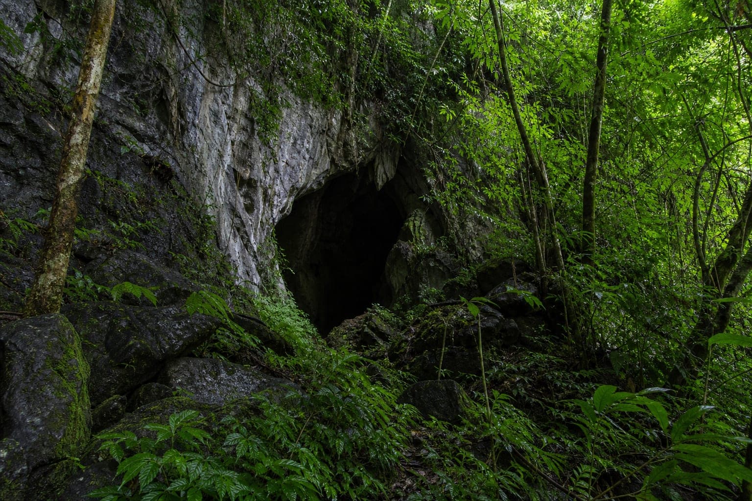 Ta Khobi Cave Forest Park — park photo