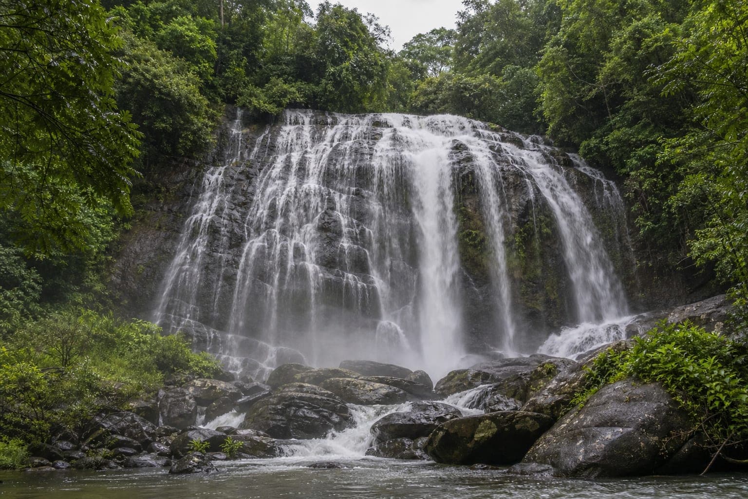 Tad Sawan Forest Park — park photo