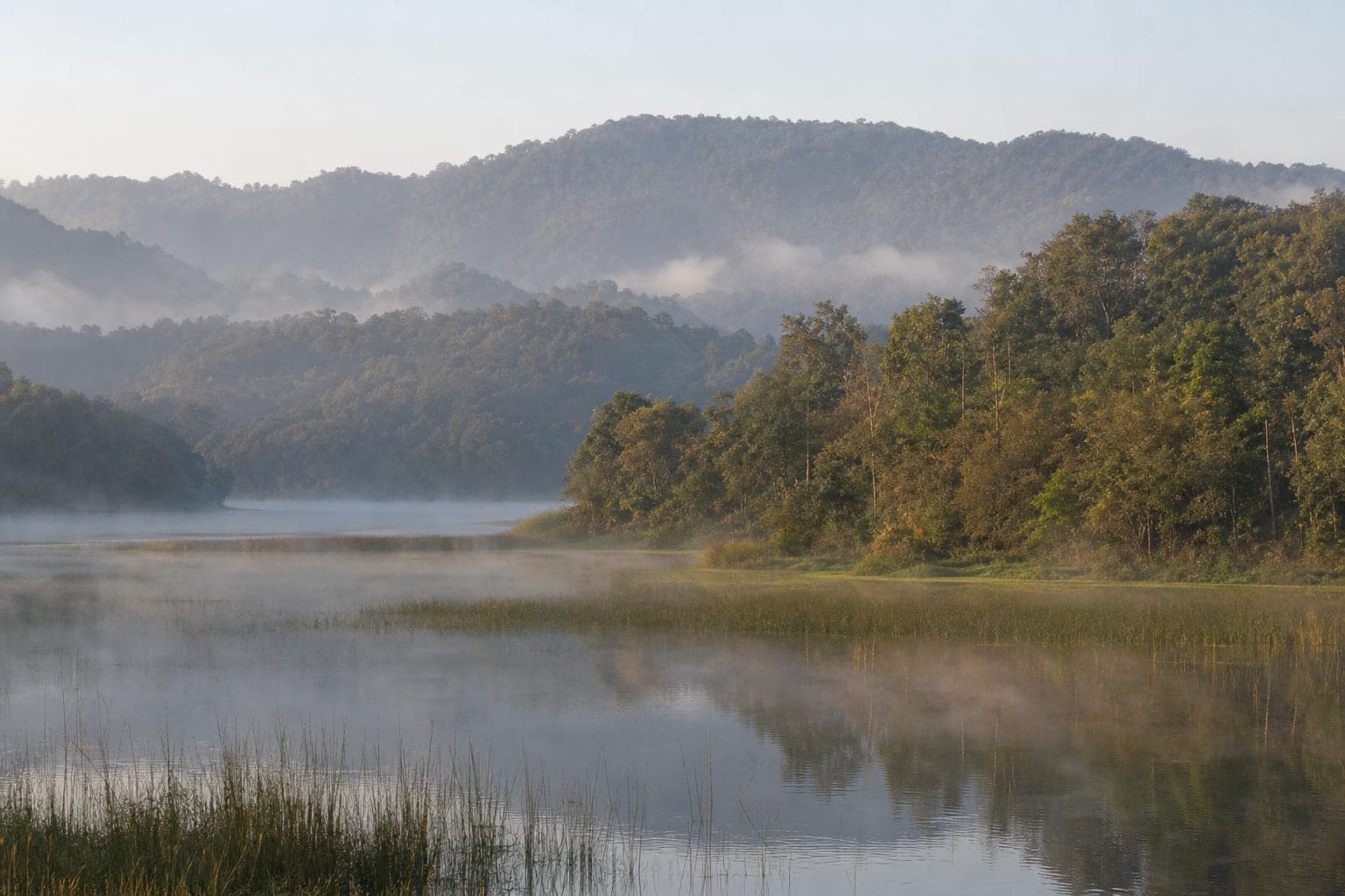 Thap Phaya Lo Forest Park — park photo
