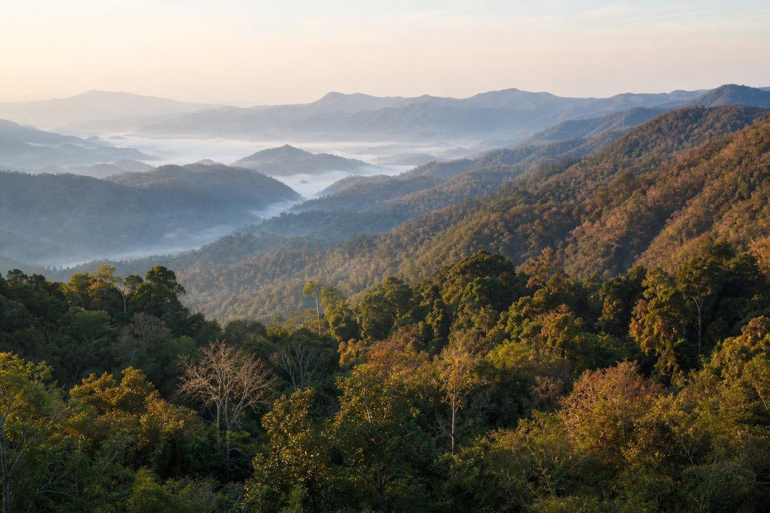 Thung Yai Naresuan Wildlife Sanctuary — park photo